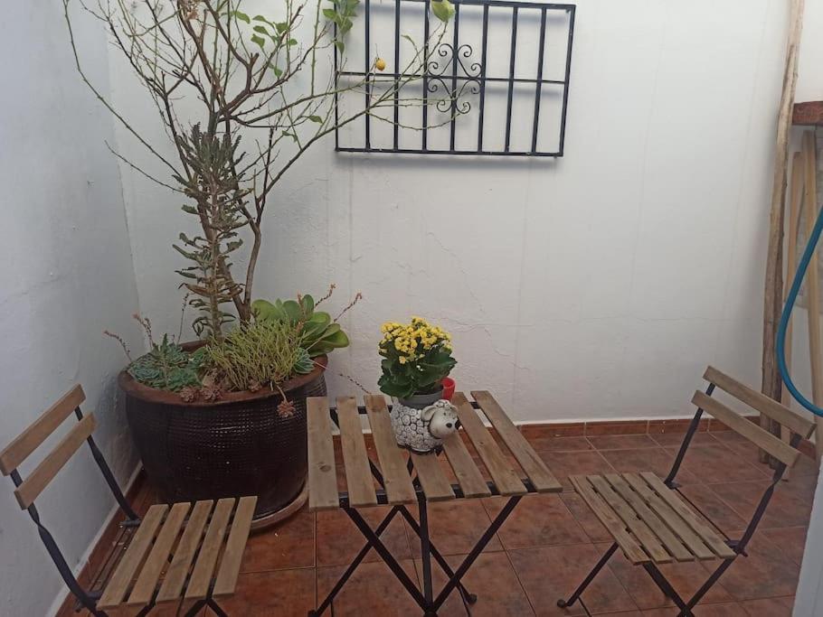 Casa El Patio En Apartment